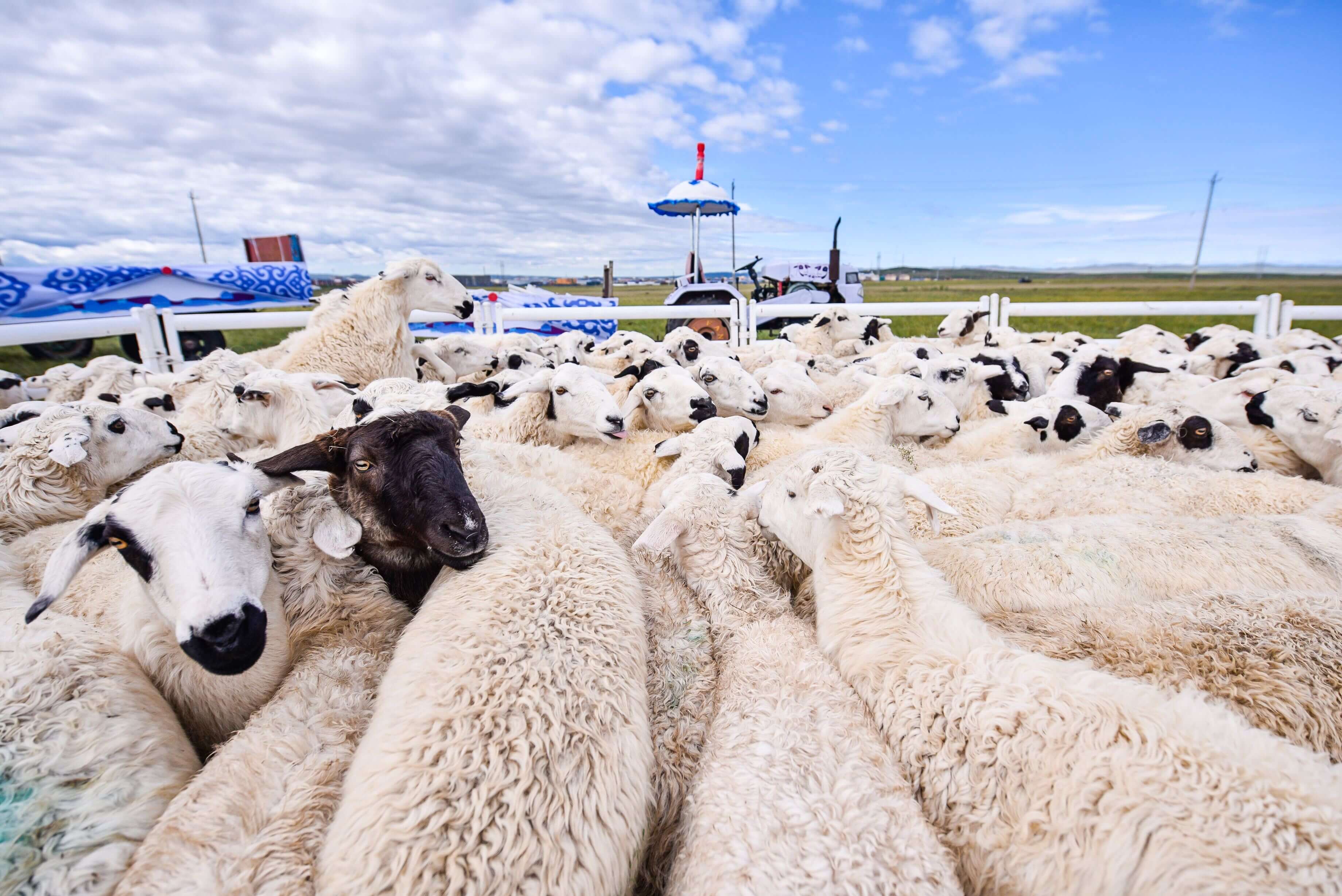 绿色能源和科技中__BASE64_6LS16YeR5bGe__的角色